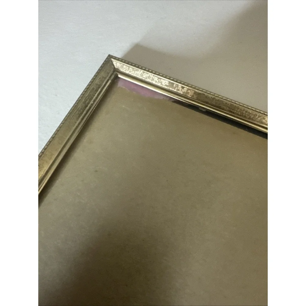 Vintage Gold Metal Double Picture Photo Frame Ornate 8x10 Red Felt Back Glass